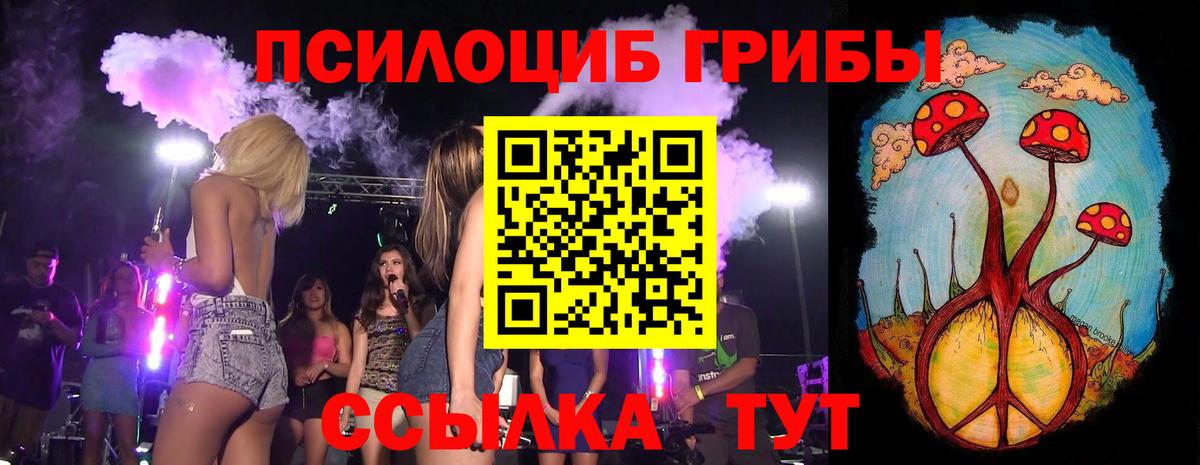 Киржач  Псилоцибиновые грибы прущие грибы  Псилоцибиновые грибы Psilocybe  Вход с VPN 